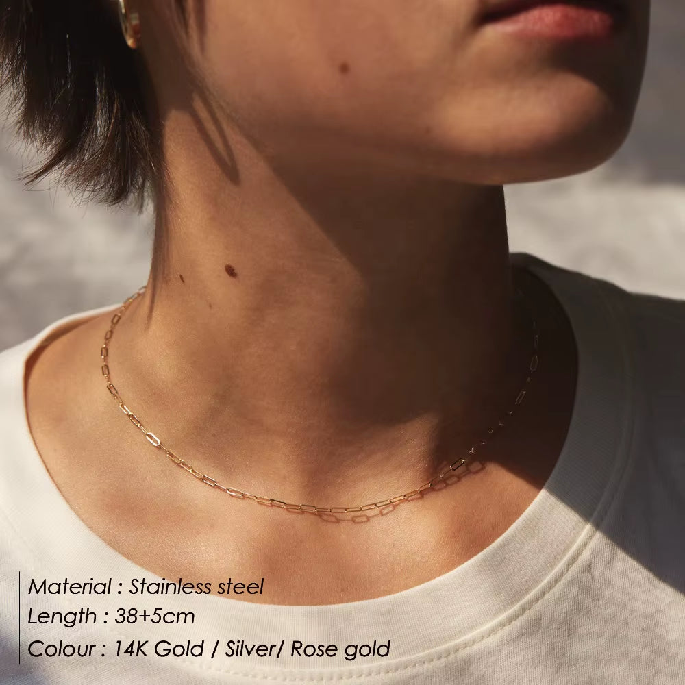 Stainless Steel Paperclip Link Necklace for Men and Women in Gold and Silver Finish
